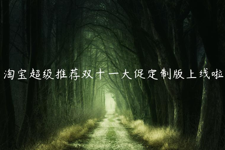 淘寶超級(jí)推薦雙十一大促定制版上線啦